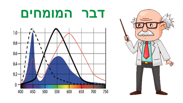 מומחים מדברים על אסדות הגז