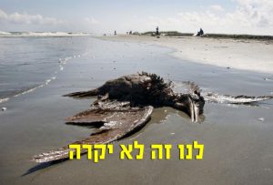 אסדת לוויתן
