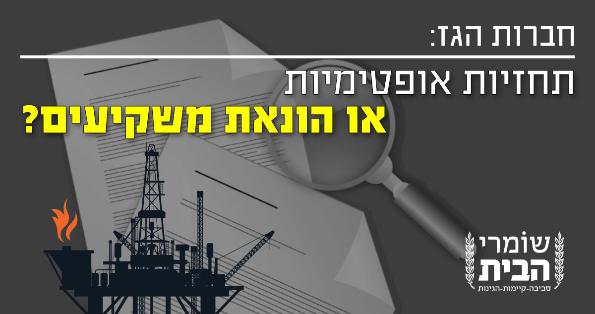 חברות הגז - תחזית אופטימית או הונאת משקיעים