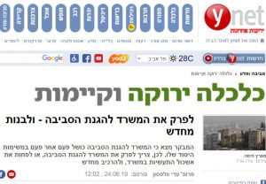 פרופ' עדי וולפסון