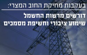 שומרי הבית השתלטו על אסיפת בעלי המניות של חברת החשמל