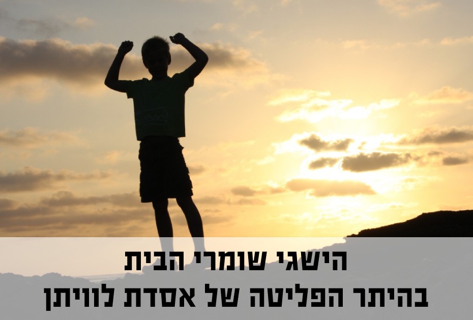 הישגי שומרי הבית ביחס להיתר הפליטה לאסדת לוויתן