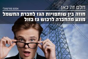 מה מונע מחברת חשמל לרכוש גז בזול ?
