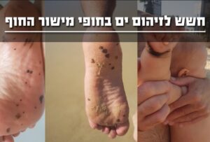 זיהום מי ים במישור החוף