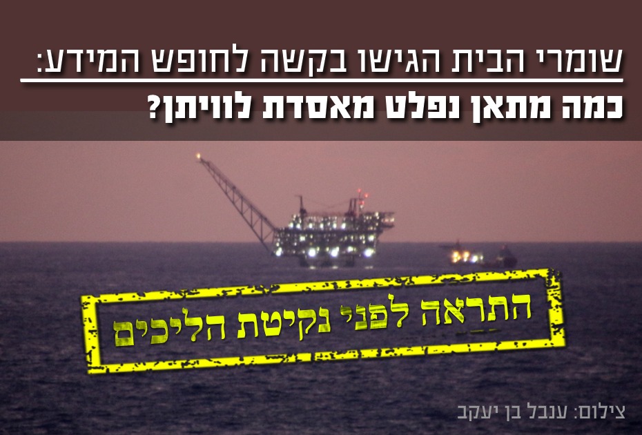 התראה לפני נקיטת הליכים