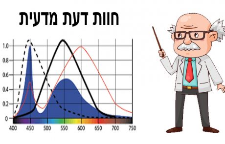 חוות דעת מומחה חדשה: המשרד להגנ"ס מתבקש לסרב לתת היתר פליטה לאסדת לוויתן בקרבת החוף!