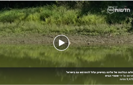 חלום הבלהות של פלינט במישיגן עלול להתרחש גם בישראל