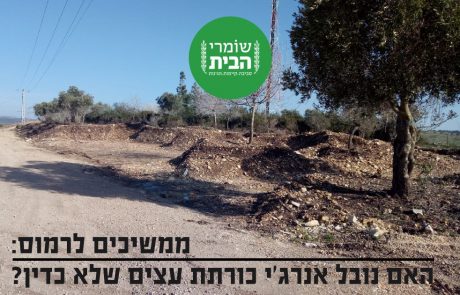 ממשיכים לרמוס: האם נובל אנרג'י עומדת לכרות עצים רבים בניגוד לחוק?