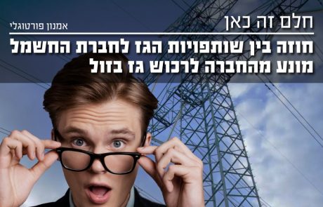 על ההסכם של חברת החשמל עם לוויתן שמונע רכישות גז נוזלי זול