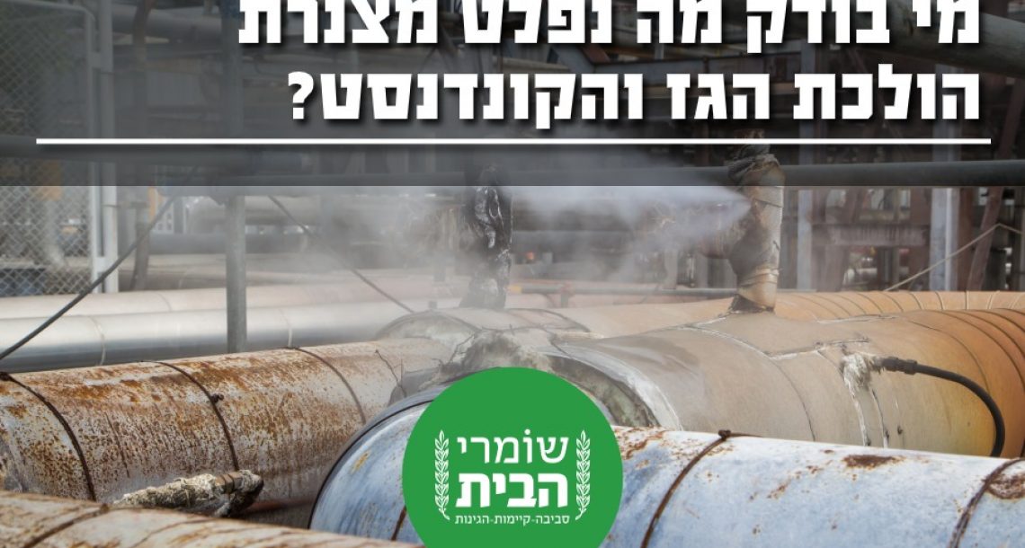 האם יש מעקב אחר אומדני פליטות מצנרות הולכת הגז בישראל?